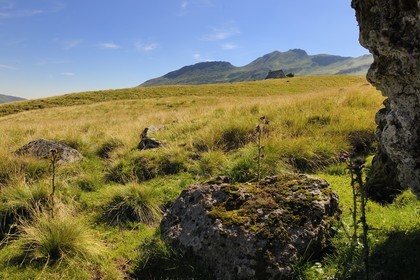France, Cantal (15), monts du Cantal, Parc Naturel Régional des Volcans d' Auvergne, le buron d' Eylac et la montagne du Puy-Mary (1783m)