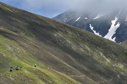Géorgie, Kakheti, Parc national de Touchétie, caravane de cavaliers au Col d'Abano à 2826 mètres en bordure de la très spectaculaire piste qui relie Telavi à Omalo