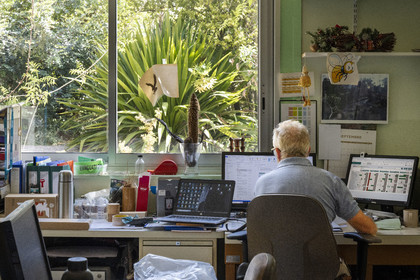 France, Alpes-Maritimes (06), Antibes, Le Jardin Botanique de la Villa Thuret (rattachée à l'INRAE), labellisé Jardin Remarquable et Arbre Remarquable, un des laboratoires de recherche dans la villa
