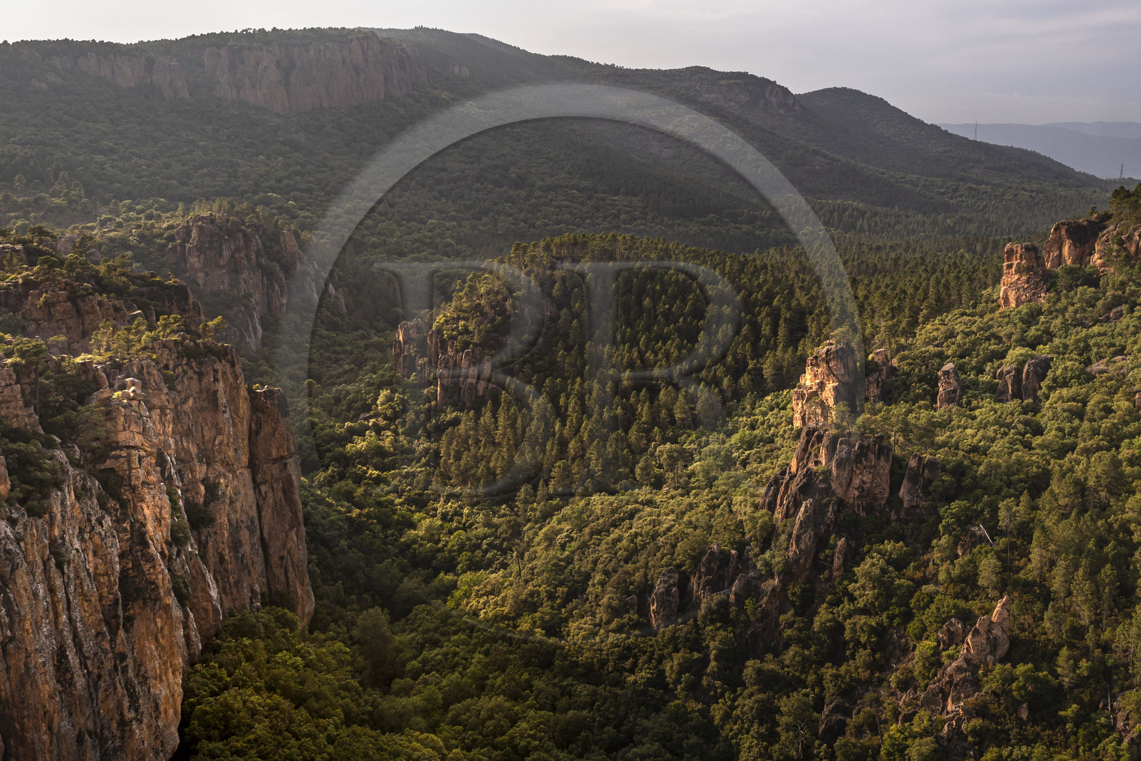 France, Var (83), entre Bagnols-en-Forêt et Roquebrune-sur-Argens, les Gorges du Blavet (vue aérienne)