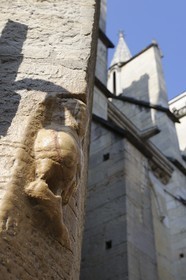 France, Côte d'Or (21), Dijon, l'église Notre-Dame (1230-1250), la célèbre chouette