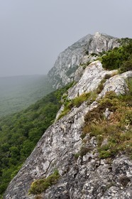 France, Var (83), Plan-d'Aups-Sainte-Baume, parc naturel régional de la Sainte-Baume, Massif de la Sainte-Baume, sommet de la falaise dominant la forêt relique et la chapelle du Saint-Pilon en arrière plan