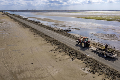 France, Vendée (85), île de Noirmoutier, Barbatre, tracteur ostréicole sur le passage du Gois, chaussée submersible qui relie l'île au continent à marrée basse (vue aérienne)