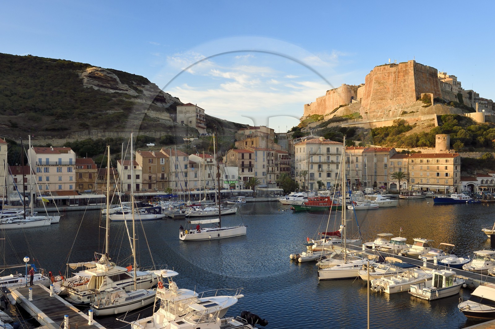 France, Corse-du-Sud (2A), Bonifacio, le port dominé par la citadelle dans la ville haute