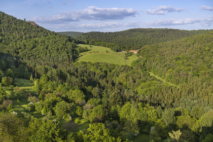 France, Bas-Rhin (67), Parc naturel régional des Vosges du Nord, Lembach, vergers du Fleckenstein et ferme restaurant Au Gimbelhof en arrière plan