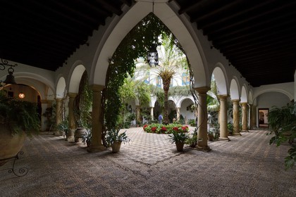 Espagne, Andalousie, Cordoue, Palais de Viana, patio d'accueil