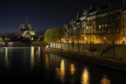 France, Paris (75), les rives de la Seine, classées Patrimoine Mondial de l'UNESCO, la cathédrale Notre-Dame