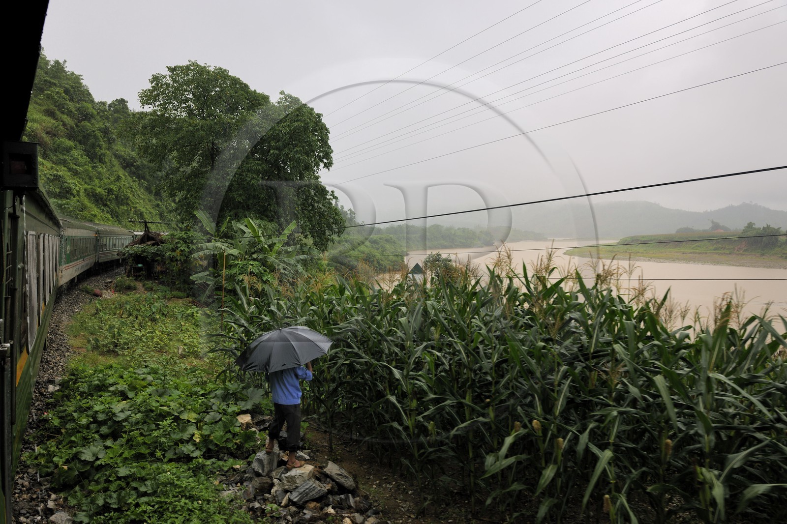 Vietnam, train de jour de Lao Cai à Hanoï et le Fleuve Rouge au nord
