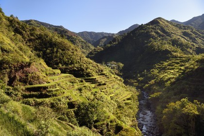 Philippines, province d'Ifugao, les rizières en terrasses de Banaue autour du village de Cambulo, classées Patrimoine Mondial de l'UNESCO