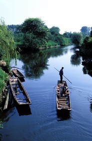 France, Bas-Rhin (67), région d'Ehnwihr, le batelier bu Ried P. Unterstock transportant un cycliste à Ebermünster