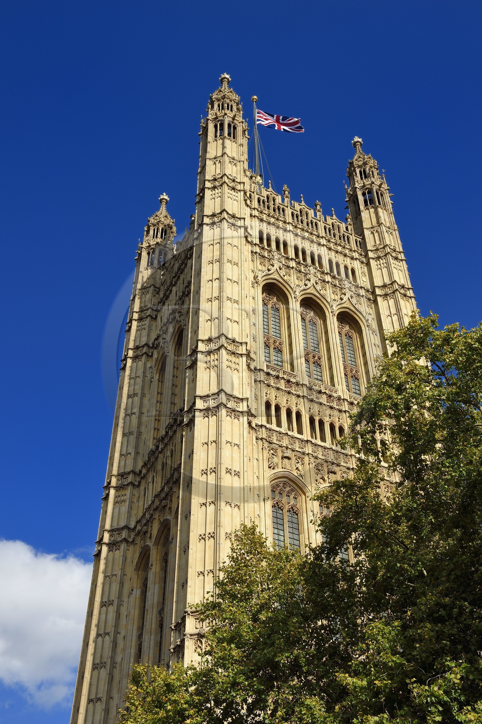 Royaume-Uni, Londres, Cité de Westminster, le Parlement du Royaume-Uni