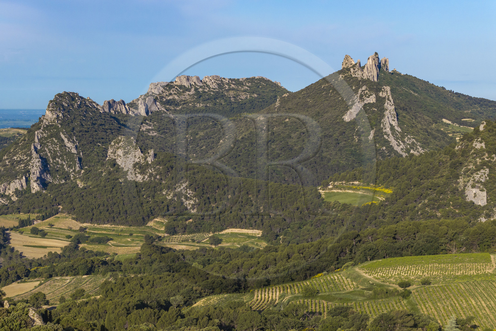 France, Vaucluse (84), Dentelles de Montmirail, le vignoble autour du village de Suzette, le Clapis prolongé par le Grand Montmirail à gauche et les Dentelles Sarrasines à droite (vue aérienne)