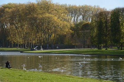 France, Yvelines (78), parc du château de Versailles, classé Patrimoine Mondial de l'UNESCO, le Grand Canal