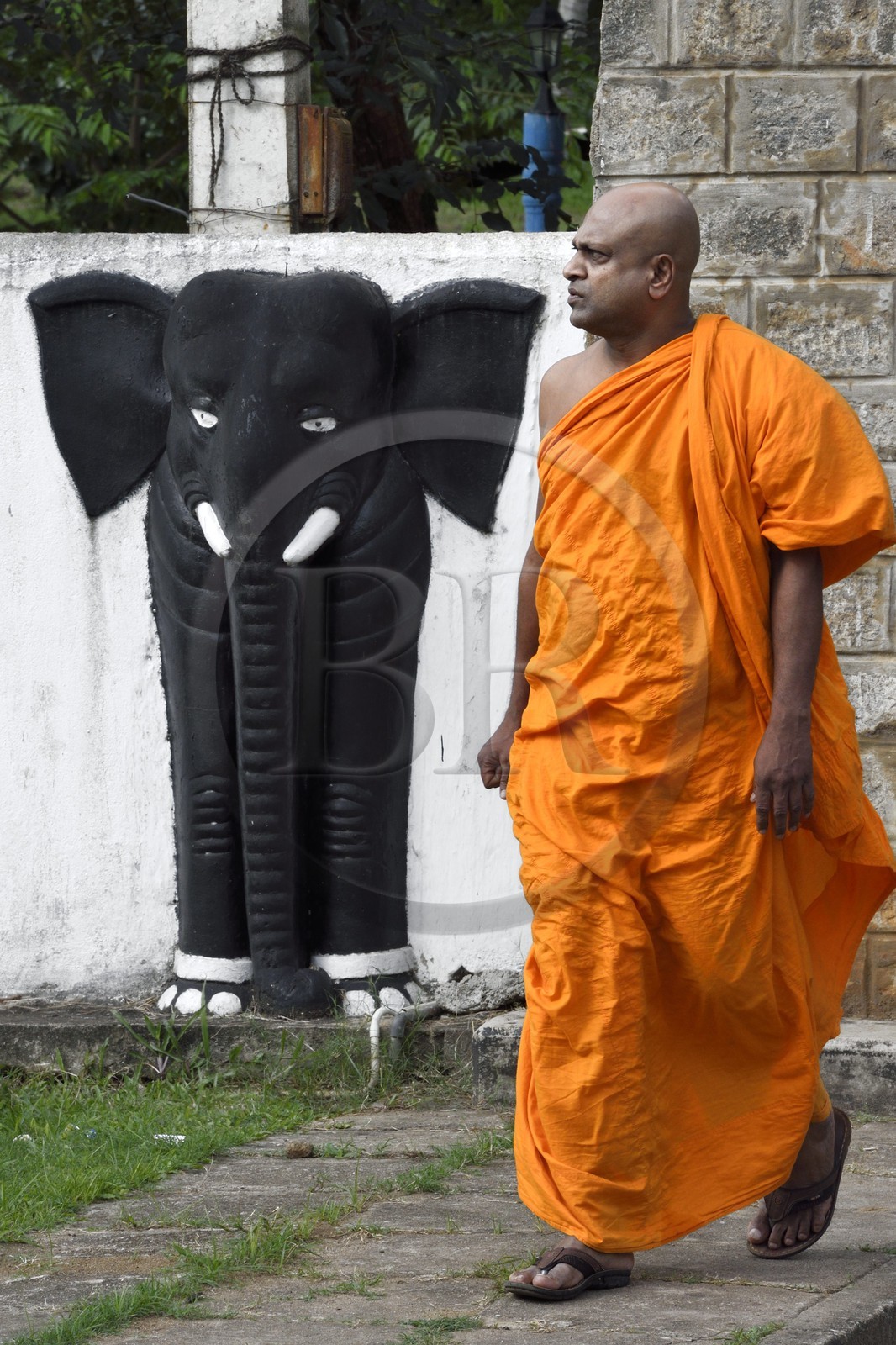 Sri Lanka, province du centre, district de Matale, moine devant le mur d'enceinte du Aluvihara Rock Cave Temple