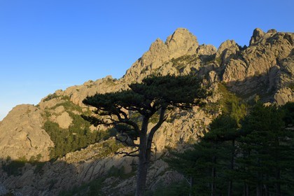 France, Corse-du-Sud (2A), Alta Rocca, Aiguilles de Bavella, variante alpine de l'étape du GR 20