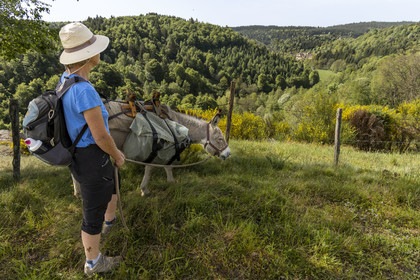 France, Lozère (48), Cheylard-l'Evêque, randonnée avec un âne sur le chemin de Stevenson (GR 70), le village dans la vallée
