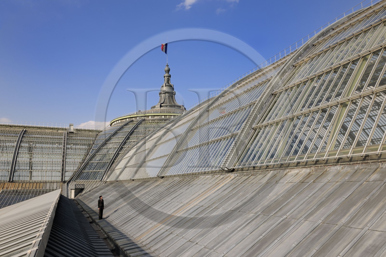 France, Paris (75), le Grand Palais, la coupole vitrée