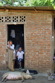 Nicaragua, Ile d'Ometepe sur le lac Nicaragua, village de Merida, enfants devant la maison familial et cochon