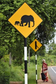 Sri Lanka, province de l'Est, Trincomalee, panneau routier signalant la présence d'éléphant