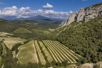 France, Vaucluse (84), Dentelles de Montmirail, la montagne des Dentelles Sarrasines et des vignobles en restanques, le Mont Ventoux en arrière plan (vue aérienne)
