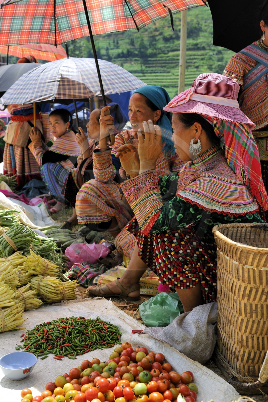 Vietnam, province de Lao Cai, région de Bac Ha, marché de Can Cau, femmes de la minorité Hmong Fleur