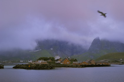 Norvège, Nordland, Iles Lofoten, Ile de Moskenes, le Kjerkefjorden à Reine