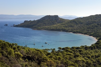 France, Var (83), Iles d'Hyères, parc national de Port Cros, Ile de Porquerolles, la Baie de l'Alycastre et le Cap des Mèdes en arrière-plan