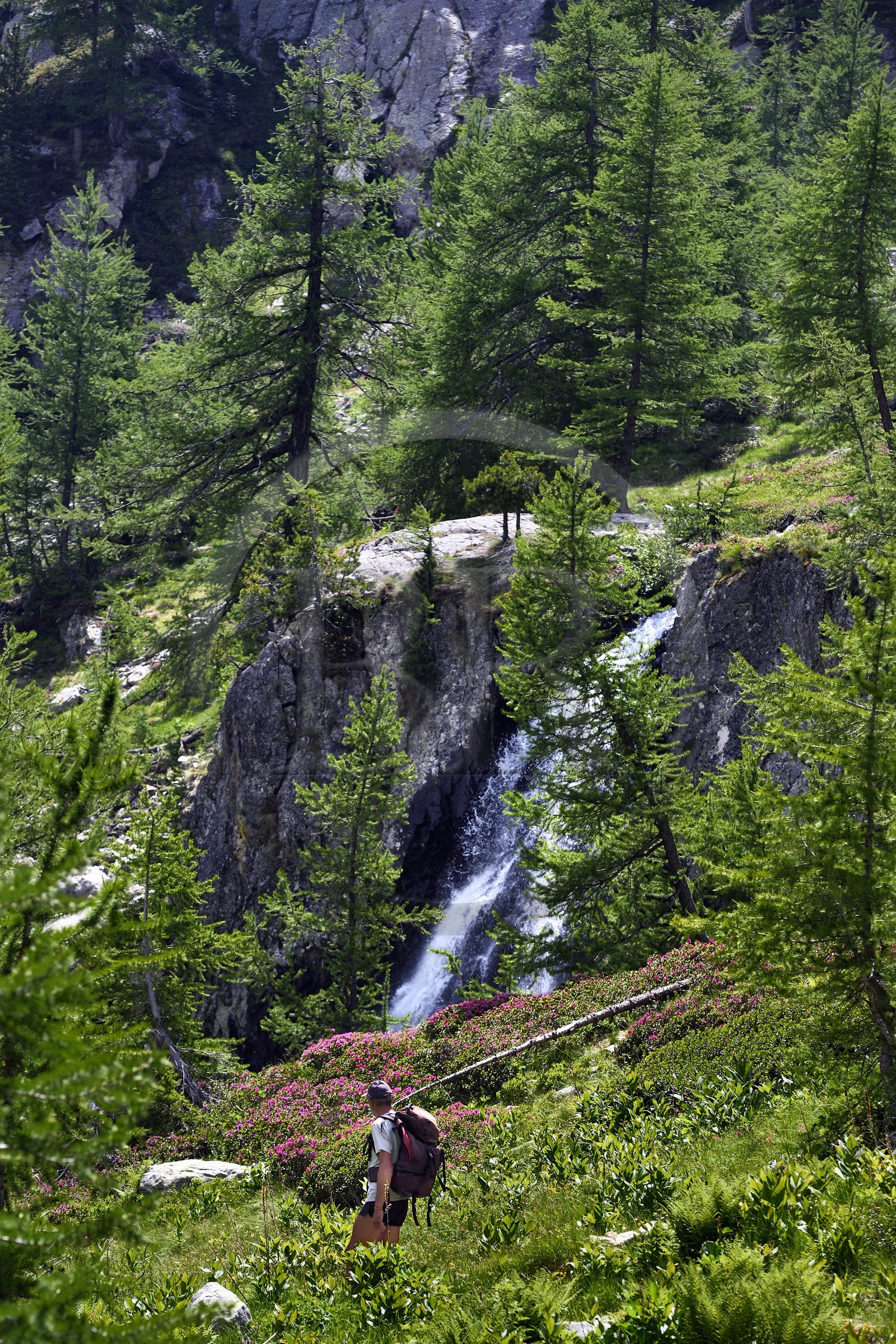 France, Alpes-Maritimes (06), parc national du Mercantour, vallée de la Valmasque, randonneur passant devant une cascade