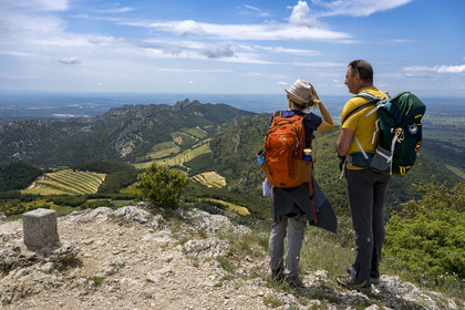 France, Vaucluse (84), Dentelles de Montmirail, randonneurs au sommet des crêtes de Saint-Amand, le Clapis prolongé par le Grand Montmirail à gauche, les Dentelles Sarrasines au centre et le Grand Travers à droite en arrière plan