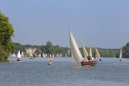 France, Loire-Atlantique (44), Nantes, Sucé-sur-Erdre, la rivière Erdre au niveau du château de Nay, rencontres de Yachting & Canotage de vieux gréments lors des RDV de l'Erdre
