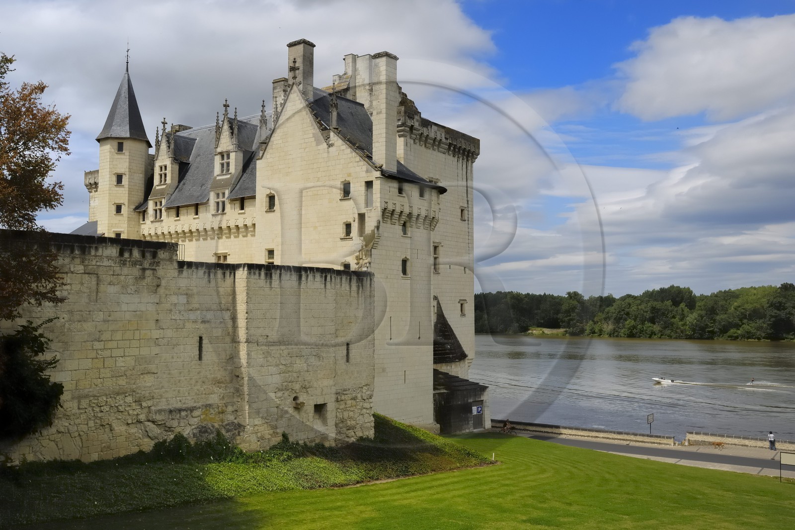 France, Maine et Loire (49), château de Montsoreau