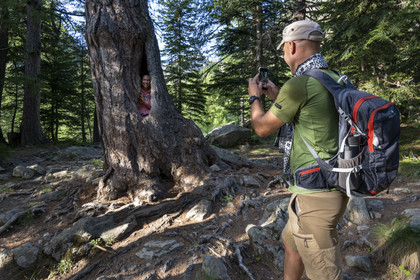 France, Alpes-Maritimes (06), parc national du Mercantour, Haute-Vésubie, Saint-Martin-Vésubie, Val du Haut Boréon, photo souvenir dans un tronc pour des randonneurs