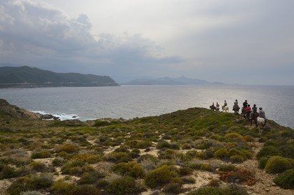 France, Haute-Corse (2B), Nebbio, désert des Agriates, Anse de Peraiola, cavaliers au Nord-Est de la plage d'Ostriconi à la Punta di l’Acciolu (Acciola)