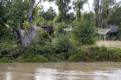 France, Loire-Atlantique (44), Bouguenais, Port Lavigne sur les rives de la Loire, collection d'art contemporain à ciel ouvert Estuaire, The Settlers (“Les Colons”) réalisé par l'artiste américaine Sarah Sze, sculpture d'un ourson qui grimpe sur un arbre, des cabanes de pêche sur pilotis (Carrelet) en arrière plan
