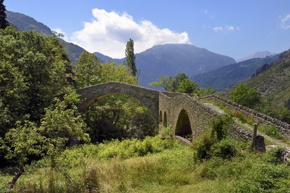 France, Alpes-Maritimes (06), vallée de la Roya, La Brigue, le Pont du Coq, pont Romain
