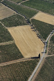 France, Aude (11), vignoble dans le Massif des Corbières (vue aérienne)