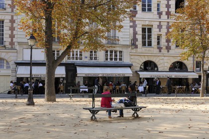 France, Paris (75), île de la Cité, place Dauphine