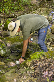 France, Vaucluse (84), Dentelles de Montmirail, Sablet, la rivière le Trignon surplombé par l'ancien pont de l'abbaye en ruine de moniales du VIIe siècle dans le vallon de Prébayon