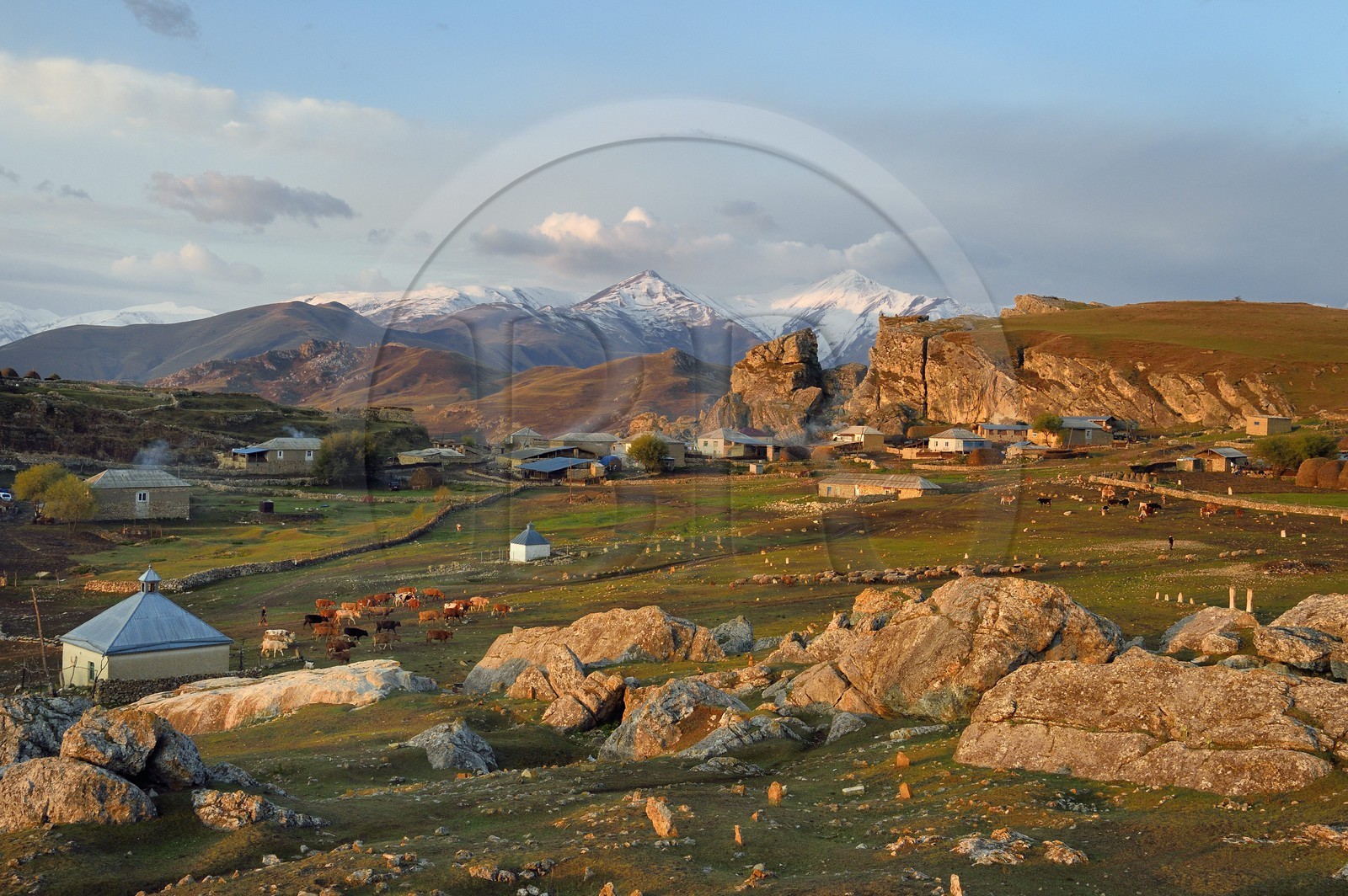 Azerbaïdjan, région de Quba (Guba), chaine de montagne du Grand Caucase, village de Giriz à l'aube, départ des vaches et des moutons pour les prés