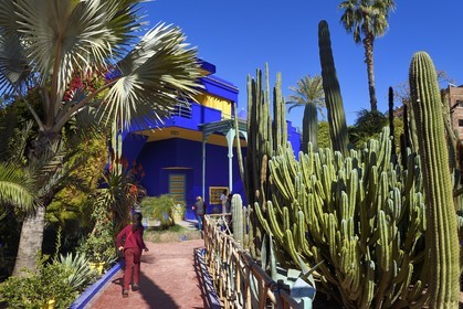 Maroc, Haut-Atlas, Marrakech, ville impériale, quartier de Gueliz, jardin Majorelle fondé en 1931 par le peintre français Jacques Majorelle puis racheté en 1980 par Yves Saint Laurent et Pierre Bergé