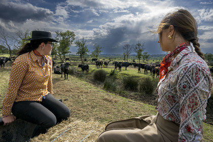 France, Gard (30), Saint-Gilles du Gard, manade Pierre Aubanel & fils, taureaux camarguais appelés Raço di Biou observés par les gardians bénévoles au féminin Marie Allard à gauche et Celia Boulaire à droite