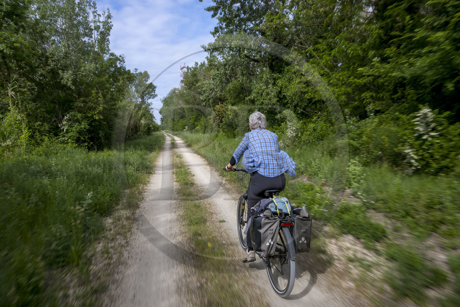 France (30), Gard, Aramon, cycliste sur la véloroute ViaRhona
