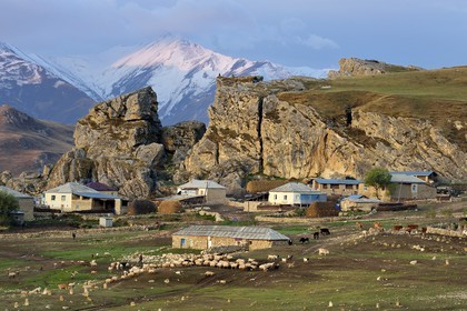 Azerbaïdjan, région de Quba (Guba), chaine de montagne du Grand Caucase, village de Giriz à l'aube, départ des moutons pour les prés