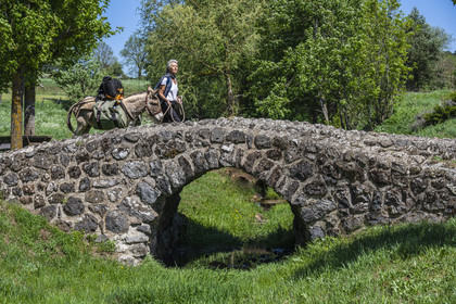 France, Haute-Loire (43), Landos, randonnée avec un âne sur le chemin de Stevenson (GR 70), franchissement du pont de la Castier