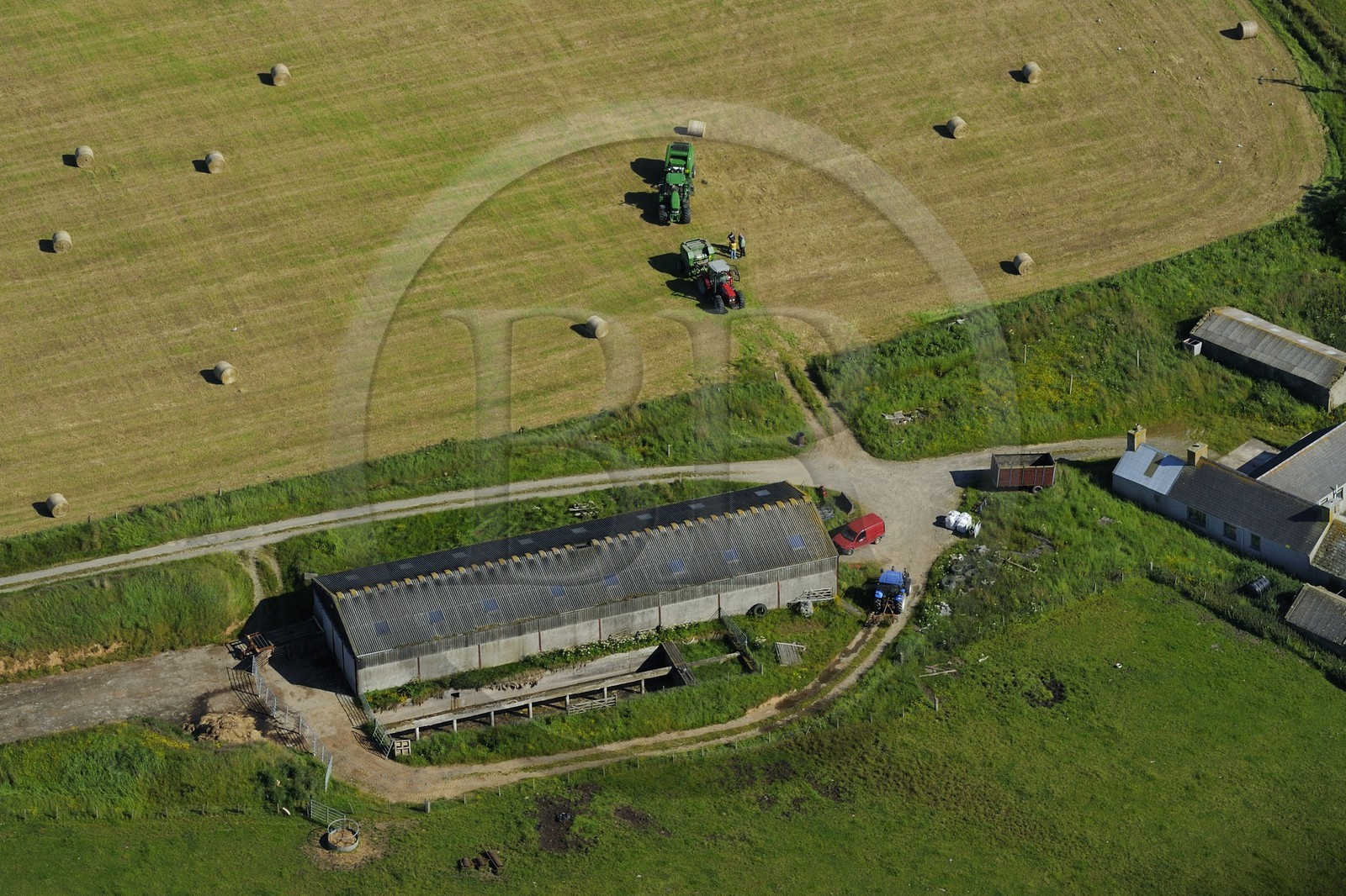 Royaume-Uni, Ecosse, Iles Orcades, Ile de South Ronaldsay, travaux agricoles, goélands se nourissent dans la terre retournée par le tracteur (vue aérienne)