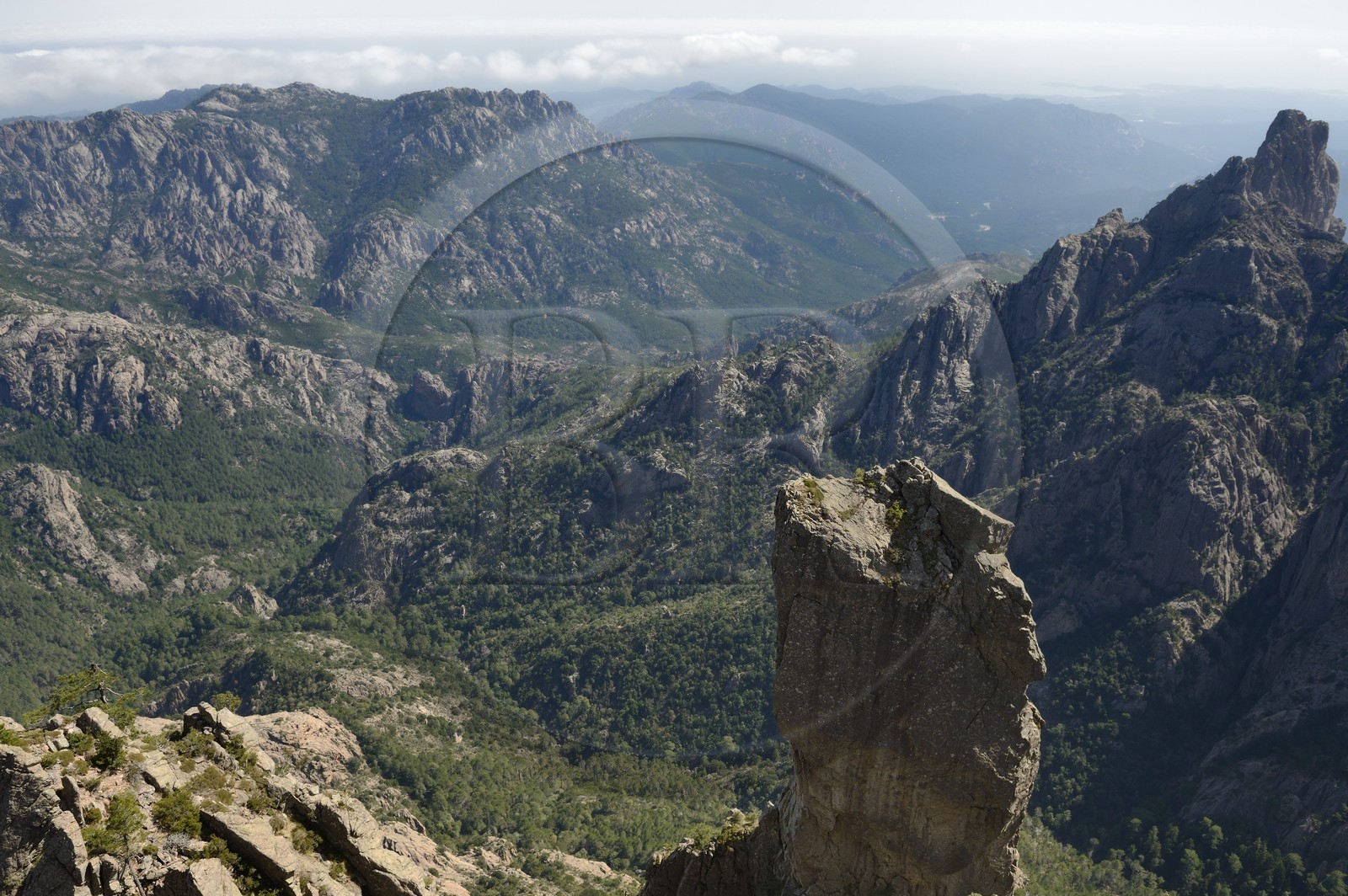 France, Corse-du-Sud (2A), Alta Rocca, massif de Bavella, campanile de Sainte-Lucie, piton vertigineux surplombant le ravin d’Aragale