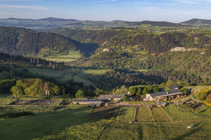 France, Haute-Loire (43), Saint-Martin-de-Fugères, MacQuart P.O.A. Ranch, poney des Amériques, randonnée avec un âne sur le chemin de Stevenson (GR 70), le village et le chateau de Goudet en arrière plan (vue aérienne)