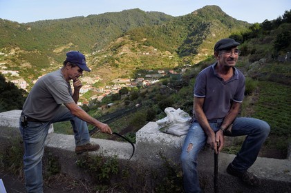 Portugal, Ile de Madère, randonnée de Machico à Porto da Cruz par le Vereda do Larano, José Vintorino et José Ribeiro travail un lopin de terre depuis qu'ils sont à la retraite