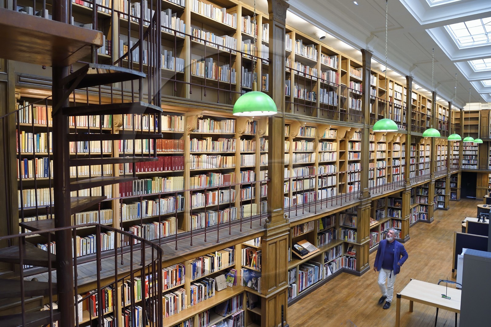 France, Var (83), Toulon, Musée d'Art de Toulon (MAT), la bibliothèque