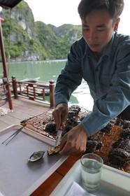 Vietnam, province de Quang Ninh, la Baie d'Halong classée Patrimoine Mondial de l'UNESCO, village flottant de pêcheurs de Vong Vieng, culture d'huitres perlières à la Spica Halong Pearl